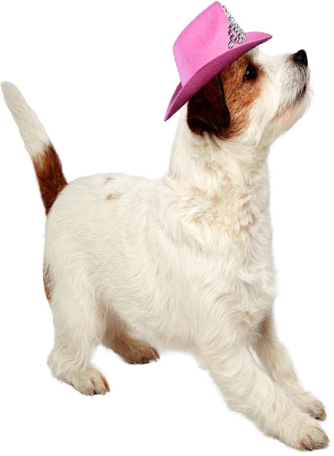 روبيز قبعة روبيز رعاة البقر للحيوانات الأليفة مع تاج صناعي للكلاب أو القطط، مقاس صغير/متوسط - Image 3